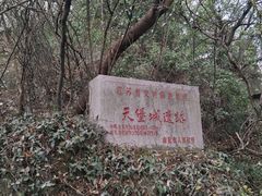 -紫金山天文台