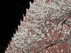 -钱王祠