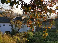 -塔川景区