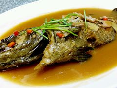 -頂好酒家·经典粤菜(海信广场店)