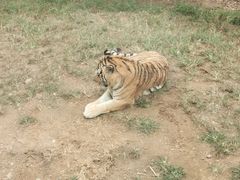 -大连森林动物园