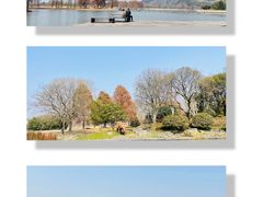 -上海辰山植物园