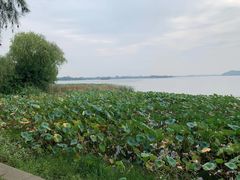 -东湖落雁景区