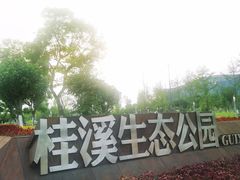 -桂溪生态公园