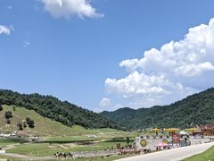 -关山草原