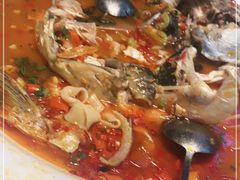 -坛宗剁椒鱼头(河西王府井店)