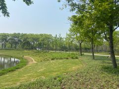 -贡湖湾湿地公园
