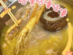 -朴小妹人参鸡汤火锅(长白山万达店)