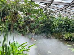 -昆明植物园