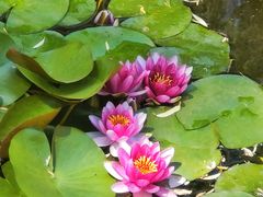 -三忘湖 SWANSEEN(柳荫公园店)