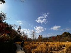 -塔川景区