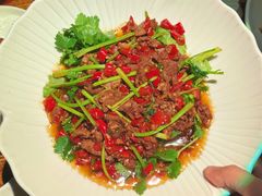 -长沙猫歌音乐餐厅(湖南女子大学店)