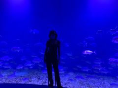 -波塞冬旅游度假区