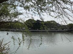 -八大山人梅湖景区