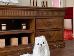 -纳吉亚猫专科动物诊疗中心(蒋宅口分院)