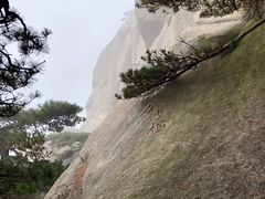 景点-天柱山风景区