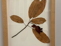 -香港科学馆