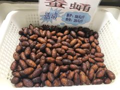 -神洲四海大酒楼(王府井澳门中心店)