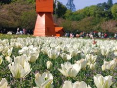 -苏州上方山国家森林公园