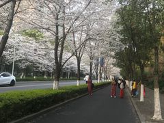 -千岛湖忆湖度假酒店(中心湖景区店)