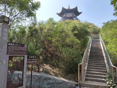 -南大港湿地风景区