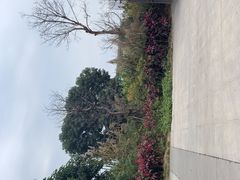 -福州站-北广场