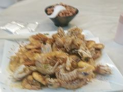 -满田家大排档(朝阳店)