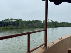 -东寨港红树林旅游区