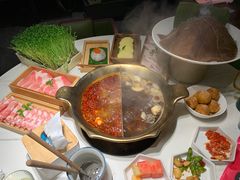 -九鼎轩脆毛肚火锅(三钢里店)