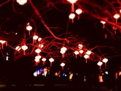 -长春市南湖公园