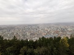 -兰山公园