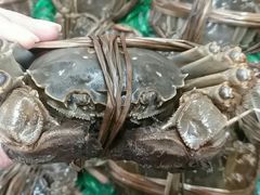 -盒马鲜生(财富中心店)