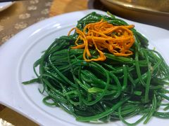 沙漠野沙葱-蒙古大营(朝阳公园店)
