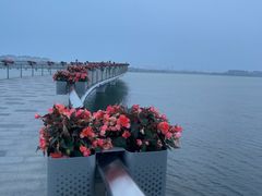 -金鸡湖景区