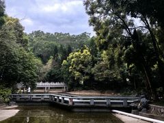 -深圳国际园林花卉博览园