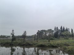 -中澳友谊花园