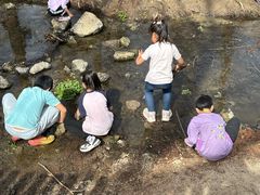 -白水寺森林公园
