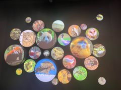 -四川大学博物馆