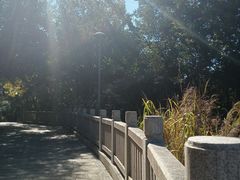 -牛岗山公园