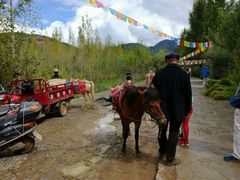 -泸沽湖国家级风景名胜区走婚桥