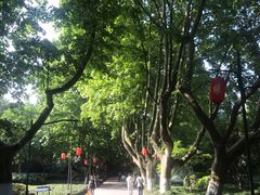 -杭州黄龙洞
