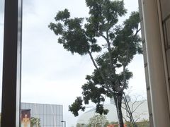 -% Arabica阿拉比卡咖啡(深圳湾万象城店)