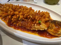 -刘胖子家常菜·蹄花焖藕(中南店)