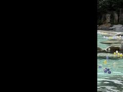 -湖泉半山温泉(湖泉生态园)