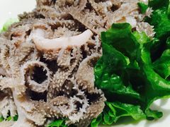 -掂档潮汕牛肉火锅(沈阳万象城店)
