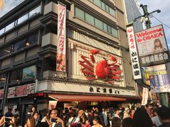 -蟹道乐(道顿堀本店)