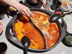 -园里火锅(仁和新城店)