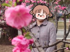 -中央民族大学