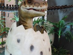 -抱璞文化展示中心