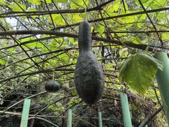 -龙门涧景区
